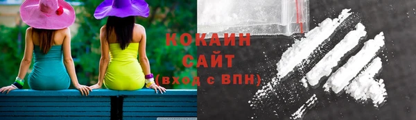 индика Магадан