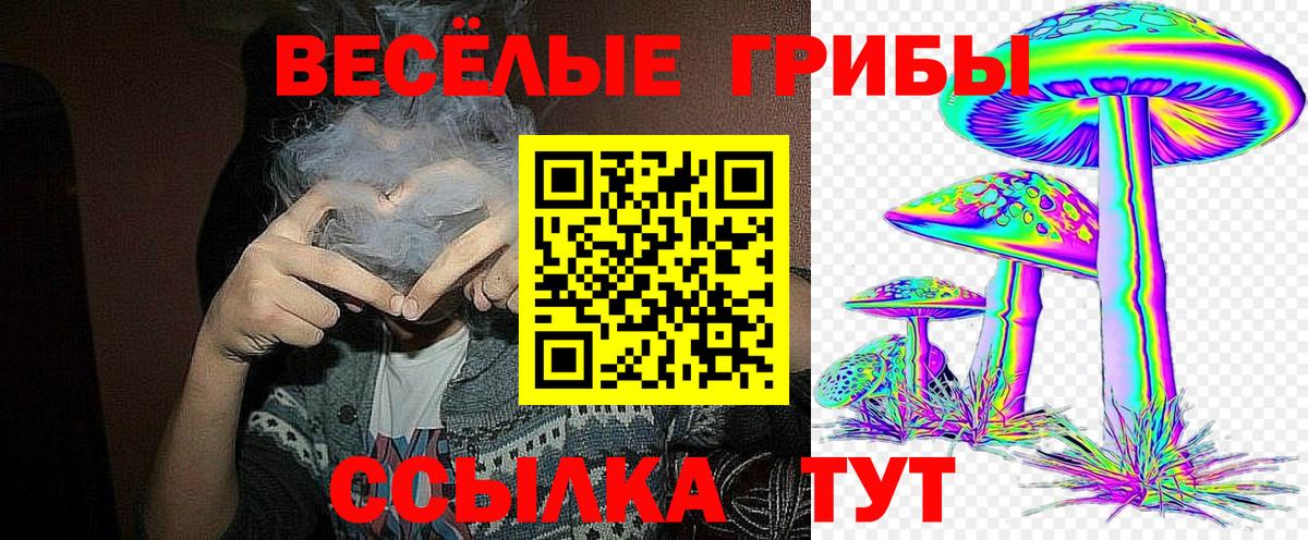 Псилоцибиновые грибы мухоморы Березники