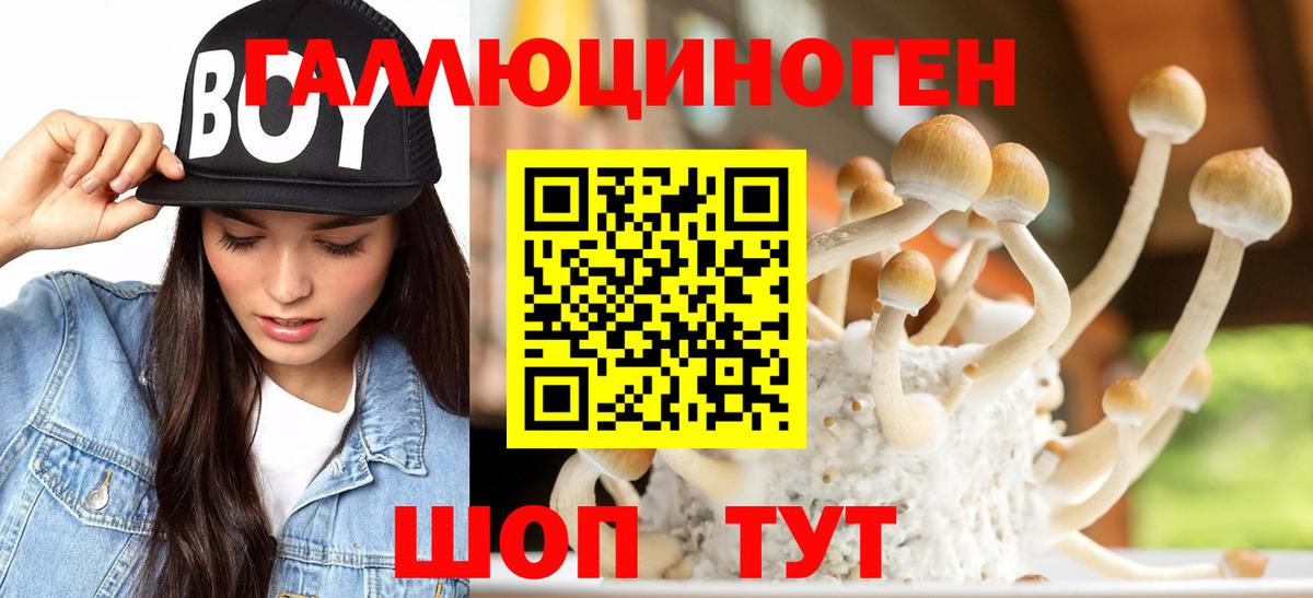 Галлюциногенные грибы ЛСД Березники